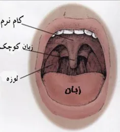 ❤بسم الله الرحمن الرحیم❤