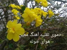 تقلید آهنگ معین ( هوای خونه )