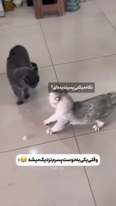 عع یه صحنه‌ی آشنا😐😂