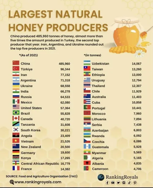 توليد كنندگان عسل جهان در سال گذشته: