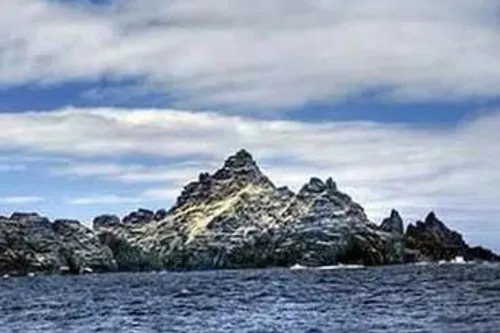 سمور جزیره ای تنها در نزدیکی ساحل شرقی کانادا است. این جز