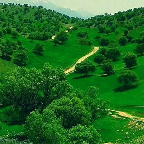 طبیعت زیبای روستای ساران، یاسوج