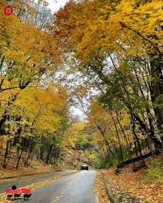 هیچی اونقدر که نگران بودی،