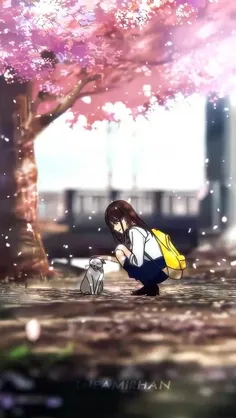I want to eat your pancreas ✨