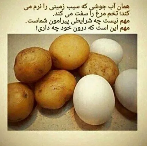 زندگی مانند یک پتوی کوتاه است.