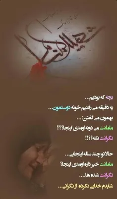 شهدا شرمنده ایم