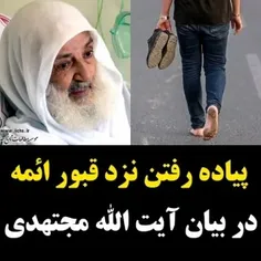 👌پاسخ جالب امام باقر (علیه السلام) به شخصی که در راه زیار