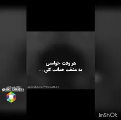 فالو کنید 