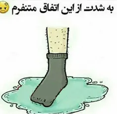 شما هم متنفرید