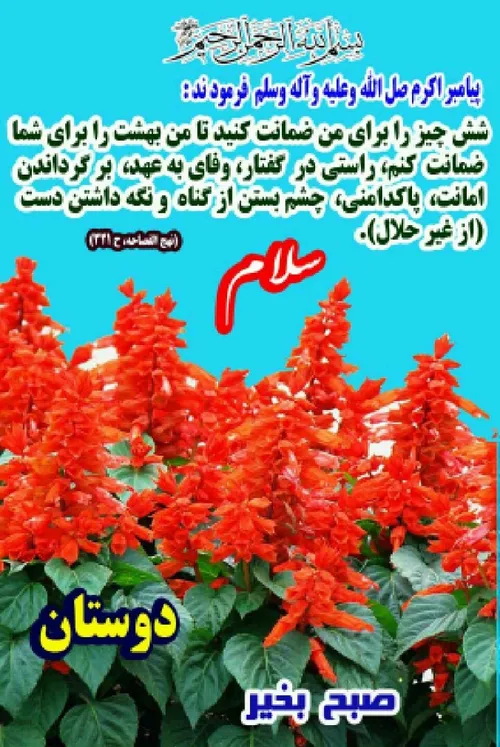 مذهبی salamonalaikom 34415545 - عکس ویسگون