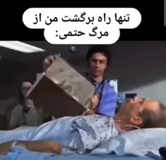 میو زنده شد🥲✨️