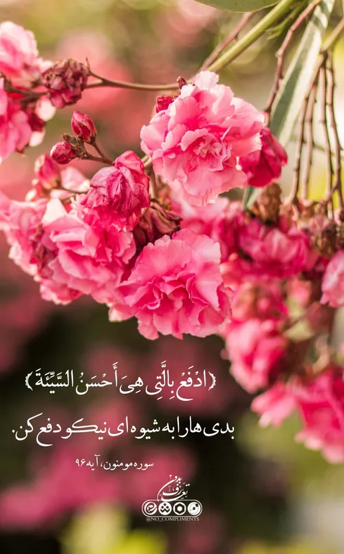 آیه گرافی 🌷