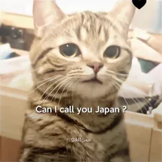میتونم بهت بگم ژاپن؟ بدون پ؟
