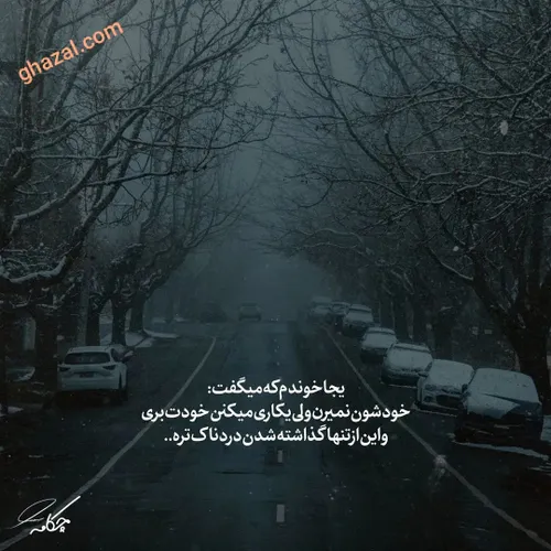  ghazal.com 38017226 - عکس ویسگون