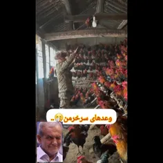 قسمتی از وعدها