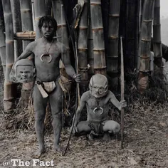 رئیس قبیله فیجیان (Fijian) مشهورترین آدمخوار جهان است که 