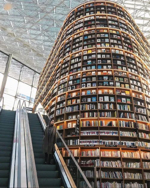 اینجا کتابخانه استارفیلد در کشور کره جنوبی هست که مردم می