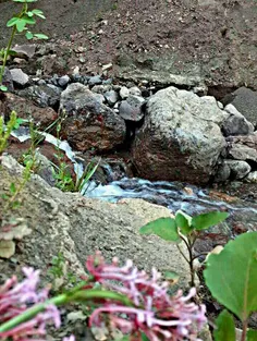 دلبر جان