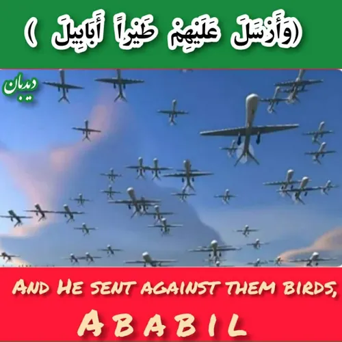 کاربران یمنی با انتشار تصویری، حمله پهپادی انصارالله به ریاض را به حمله پرندگان ابابیل به سپاه ابرهه در مکه تشبیه کردند.