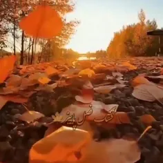 فصل پاییز
