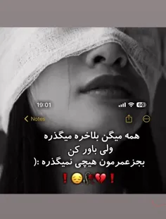cilip_shad 74972089