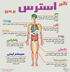 »»آیامیدانید««