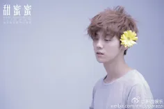 luhan