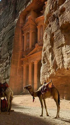 #بخون #پترا Petra