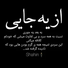 shahin9662 65004897