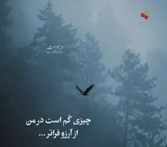 #عکس_نوشته