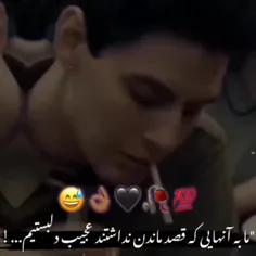 تک_تنها_با_کلی_آرزو...