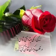 h_mousavi 64178217