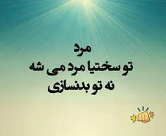 مرد باش نر نباش