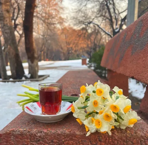 عصرتون دلنشنین دوستان جان😍☕🍰