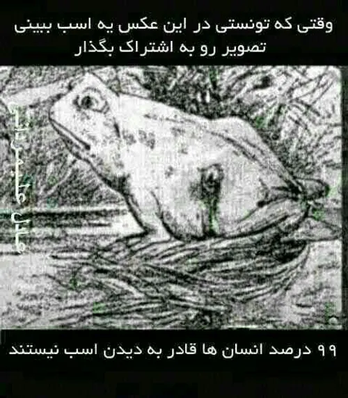 لایک یلدتون نره