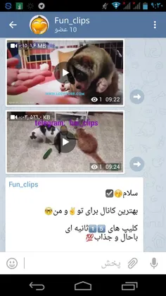 Telegram.me/fun_clips
