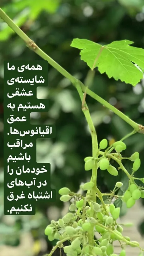 سکوت چه وقت ؟