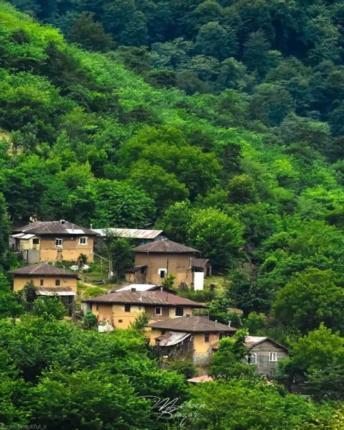 اینجا کجاست؟ قطعه ای از بهشت😍