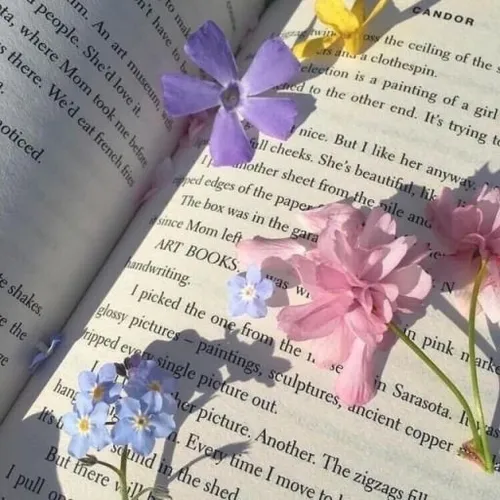 پس زمینه طوری🌸⁦🏵️⁩🌼