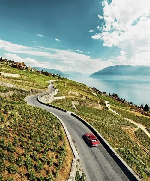 جاده زیبای اروپایی در میان دریاچه ژنو و تاکستان های لاوو