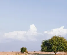 یه سری به این یتیم بی نوا هم بزنید🥲