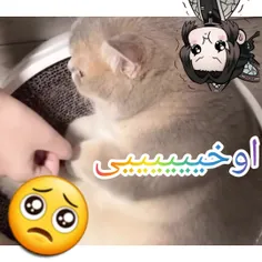 چه کیوتهههه🥺