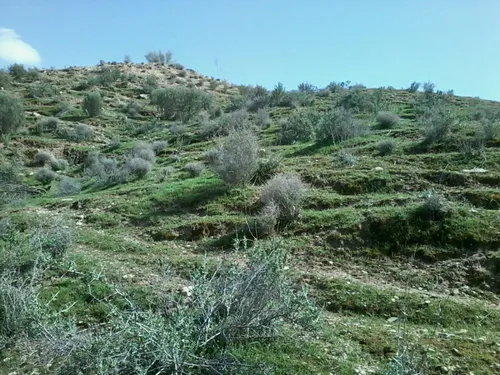 بوشهر- دشتستان- بخش ارم- طبیعت اطراف سد تنگ ارم