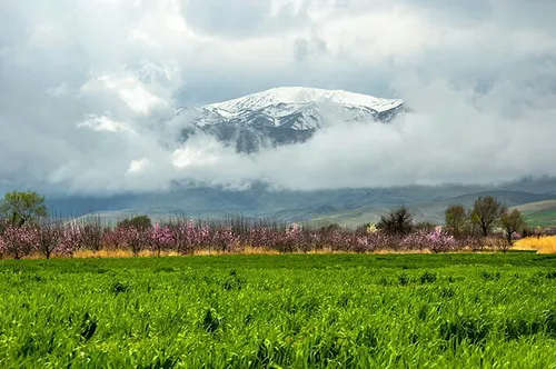 قله شیر برفی بروجرد