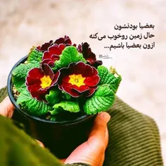 بعضیا بودنشان حال زمین خوب می کنه 