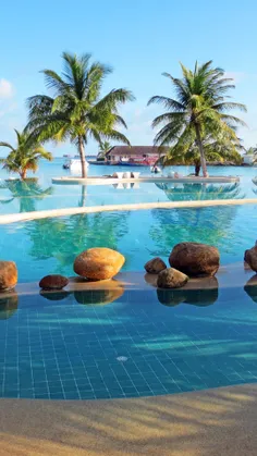 #Holiday_Maldives_Pool_Palm_Trees