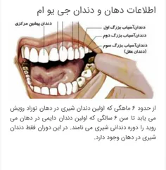 برای دیدن ادامه مطالب روی لینک کلیک کنید :: >> https://po